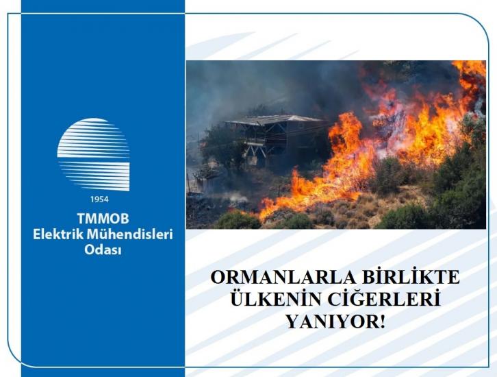 EMO: ORMANLARLA BİRLİKTE ÜLKENİN CİĞERLERİ YANIYOR!